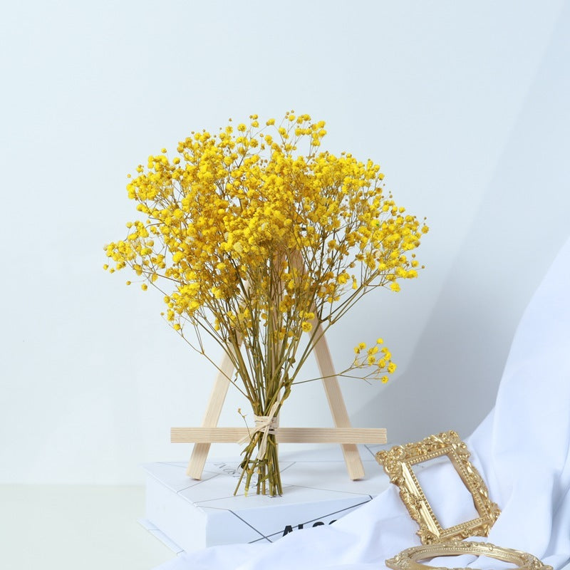 Gypsophila Dried Flower Bouquet – Natural Air-Dried Real Flowers for Home, Wedding & Living Room Décor