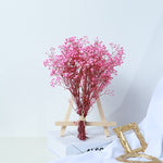 Gypsophila Dried Flower Bouquet – Natural Air-Dried Real Flowers for Home, Wedding & Living Room Décor