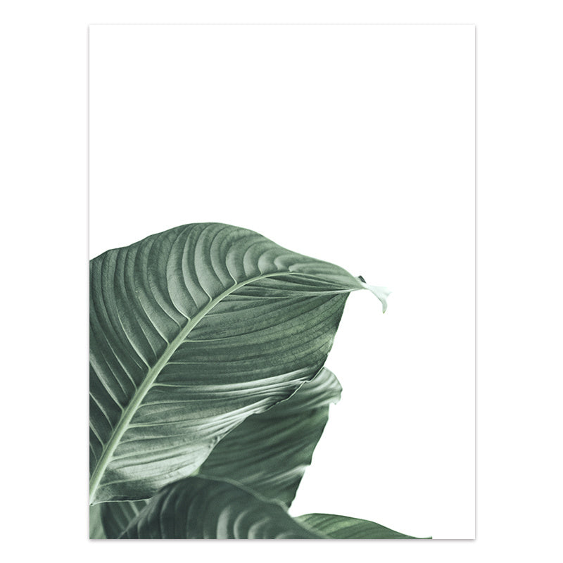 Nordic Style Tropical Plants Poster – Green Leaves Canvas Print | Modern Wall Art for Home & Office Décor
