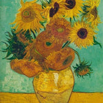 Van Gogh Starry Sky of the Rhone River – DIY Paint by Numbers Kit | Unique Christmas & Birthday Gift