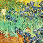 Van Gogh Starry Sky of the Rhone River – DIY Paint by Numbers Kit | Unique Christmas & Birthday Gift