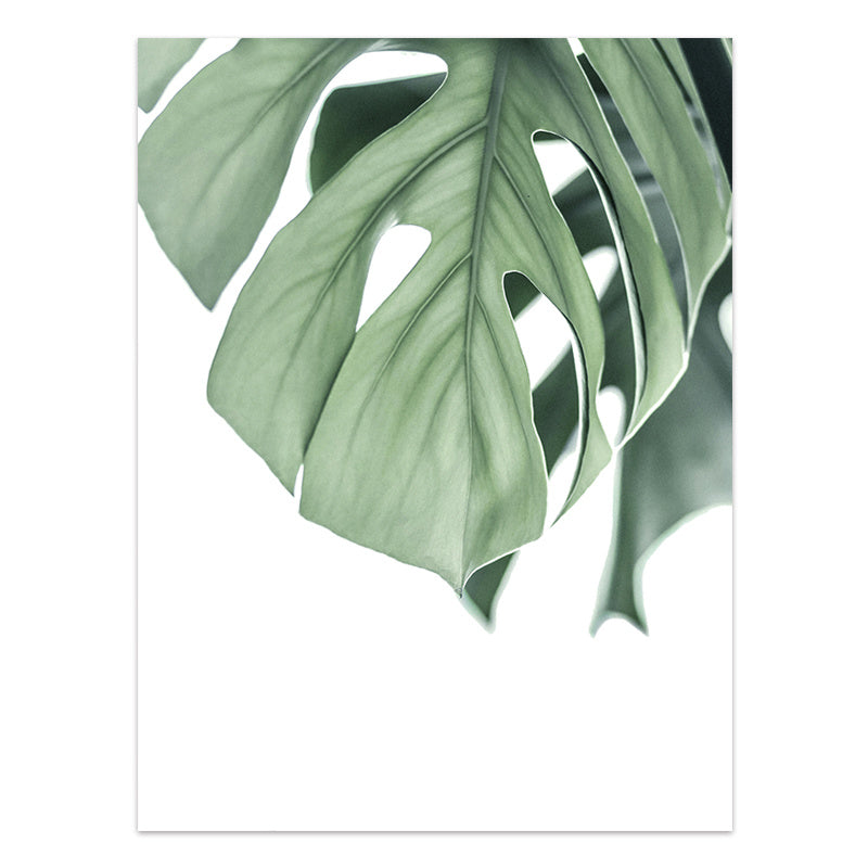 Nordic Style Tropical Plants Poster – Green Leaves Canvas Print | Modern Wall Art for Home & Office Décor