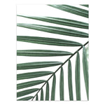 Nordic Style Tropical Plants Poster – Green Leaves Canvas Print | Modern Wall Art for Home & Office Décor