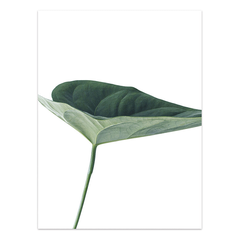 Nordic Style Tropical Plants Poster – Green Leaves Canvas Print | Modern Wall Art for Home & Office Décor