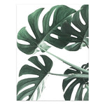Nordic Style Tropical Plants Poster – Green Leaves Canvas Print | Modern Wall Art for Home & Office Décor
