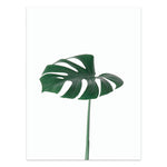 Nordic Style Tropical Plants Poster – Green Leaves Canvas Print | Modern Wall Art for Home & Office Décor