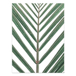 Nordic Style Tropical Plants Poster – Green Leaves Canvas Print | Modern Wall Art for Home & Office Décor
