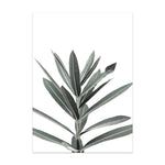 Nordic Plant Canvas Wall Art – Modern Frameless Greenery Decoration Painting