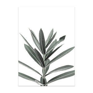 Nordic Plant Canvas Wall Art – Modern Frameless Greenery Decoration Painting